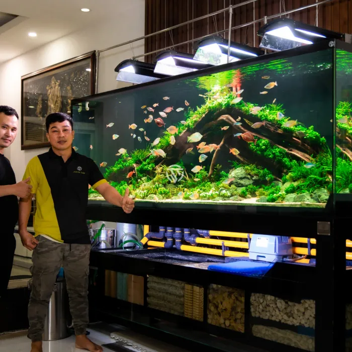 Hồ Cá Quận 8 - Cá Cầu Vồng