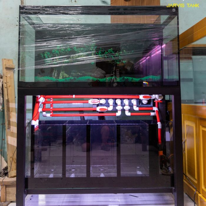 Hồ Cá Đi Campuchia
