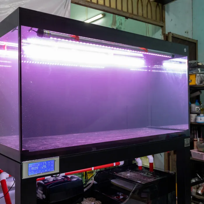 Hồ Cá Đi Campuchia