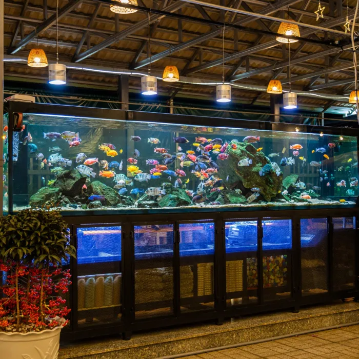 Hồ Cá 3m - Vũng Tàu